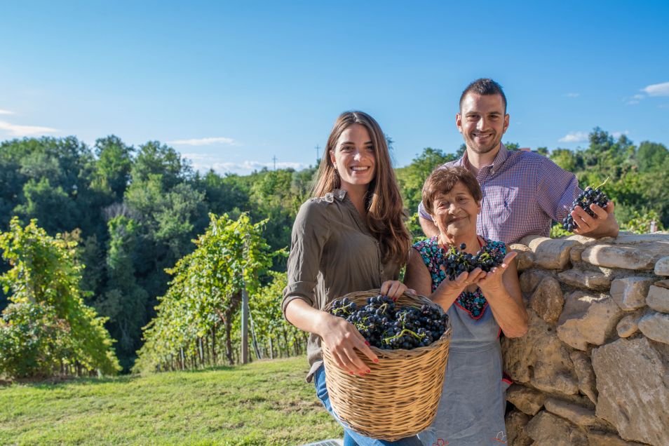 Vigneti del Salento 'Vanita' Nero d'Avola Terre Siciliane IGT 23
